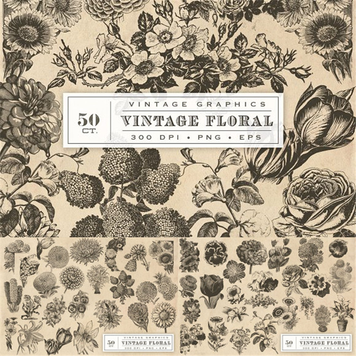 [483]50张复古花朵手绘线稿版画风格图AI矢量设计素材+高清PNG
