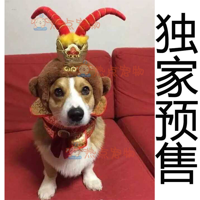 狗狗个性服饰齐天大圣帽头套忍者变身装泰迪秋田比熊柯基搞怪服饰
