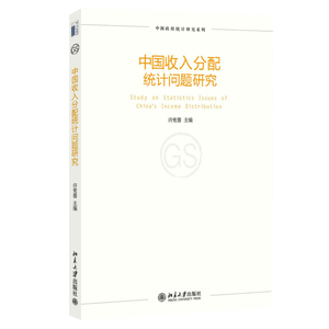 中国收入分配统计问题研究