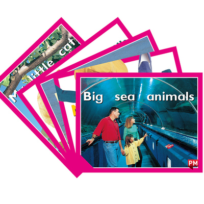 原版进口英文PM彩虹阅读系列PM READERS - MAGENTA, SET 2A FICTION READERS X 5粉色级别 Level2A儿童3-6岁启蒙英语故事绘本5册