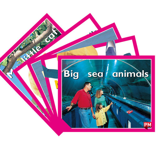 原版进口英文PM彩虹阅读系列PM READERS - MAGENTA, SET 2A FICTION READERS X 5粉色级别 Level2A儿童3-6岁启蒙英语故事绘本5册