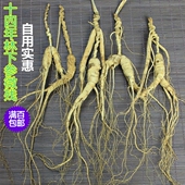 林下残参干参15年20年30年40年非移山参山参泡酒可代磨参粉切片