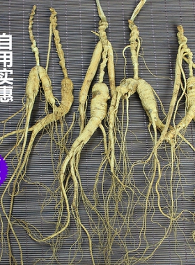 林下残参干参15年20年30年40年非移山参山参泡酒可代磨参粉切片