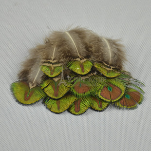孔雀锦毛 DIY饰品配件 头饰服装 舞台羽毛 稀有珍贵孔雀毛金片