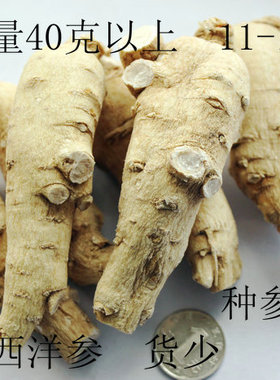 年份足大西洋参 优质花旗参 无硫西洋参14-15只/斤 一份150克