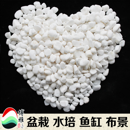 白石子白色小石头天然大鹅卵石多肉铺面花盆栽阳台庭院装饰鹅软石