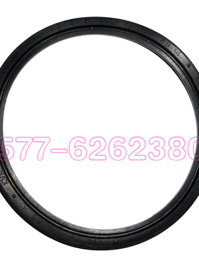 PZ16*9*2.1/25*18*2.5/40*32*3/63*51/80*68*4/125*110*4.4汽缸圈