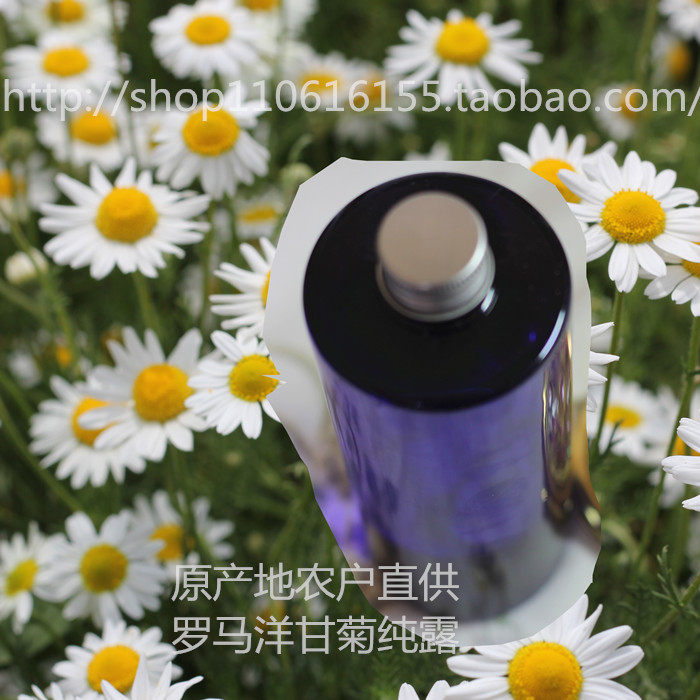 纯天然罗马洋甘菊纯露洋甘菊花水纯露/花水