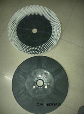 意大利55B/Innova22B洗地机刷盘针盘 22寸洗地机刷针盘
