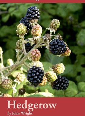 【预售】Hedgerow