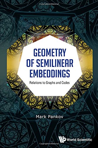 【预订】Geometry of Semilinear Embeddings