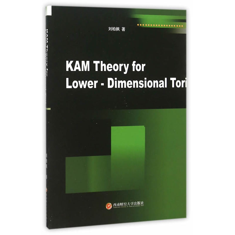 KAM Theory for Lower  Dimensional Tori 书籍/杂志/报纸 企业管理 原图主图