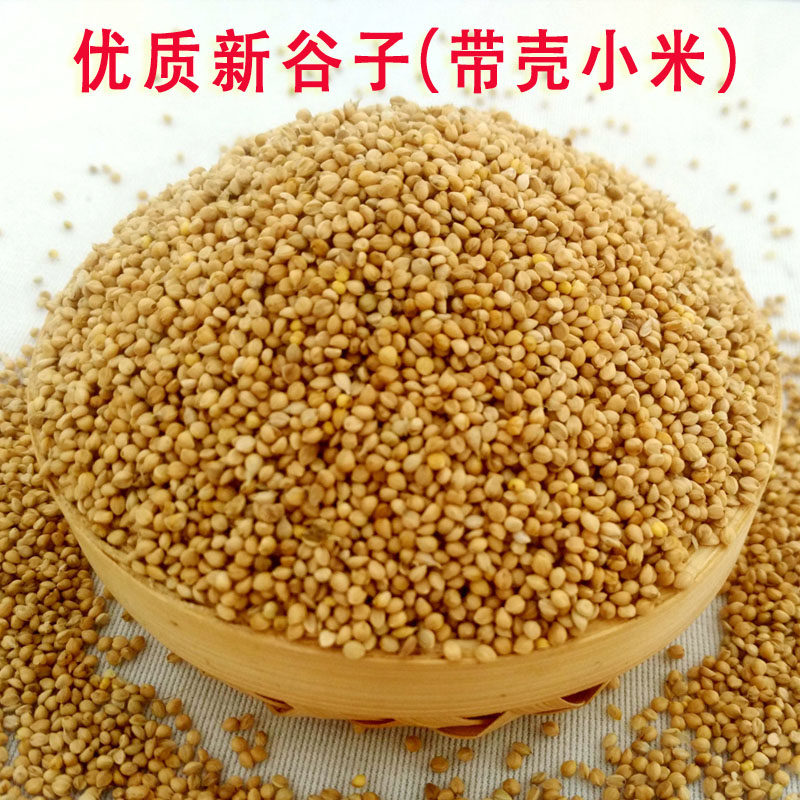 小米鸟食带壳500G虎皮鹦鹉