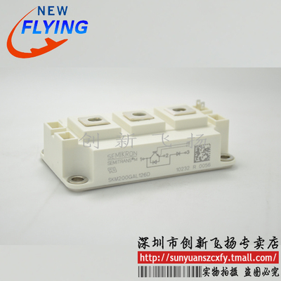 SKM200GAL12E4/T4/17E4功率模块IGBT全新200A1200V/1700V直拍