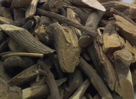 朱砂根凤凰肠小罗伞500g包邮新品