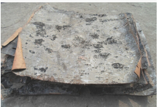 桦树皮/白桦树皮/家居装饰树皮/DIY花材/工艺原料/装潢树皮/1公斤