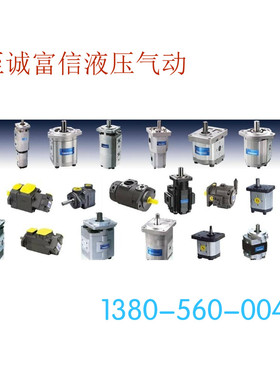 合肥齿轮油泵 CBND-F563  550 540  532  525  520-BFH 液压泵