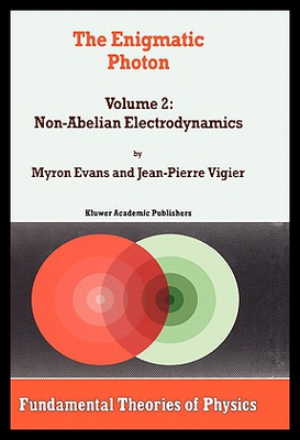 【预售】The Enigmatic Photon: Volume 2: Non-Abelian Elect