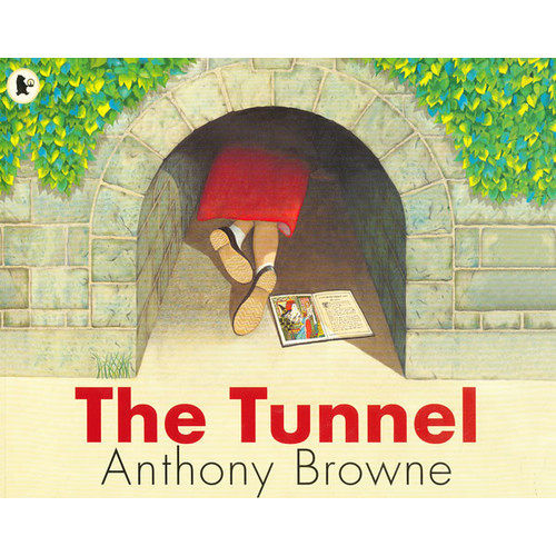 现货 The Tunnel 安东尼布朗：隧道 英文原版绘本 - 实物图