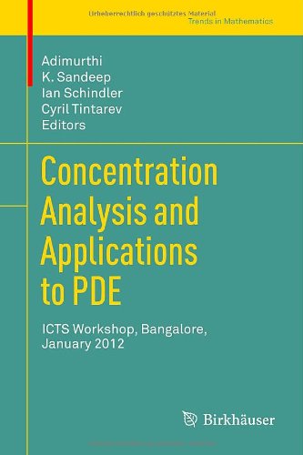 【预售】Concentration Analysis and Applications to Pde...