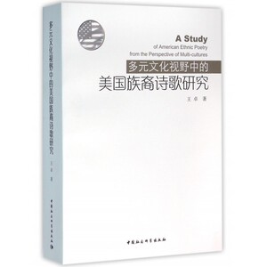 【正版包邮】多元文化视野中的美国族裔诗歌研究