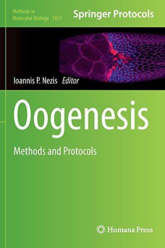 美国库房发货,通常付款后5-8周到货！