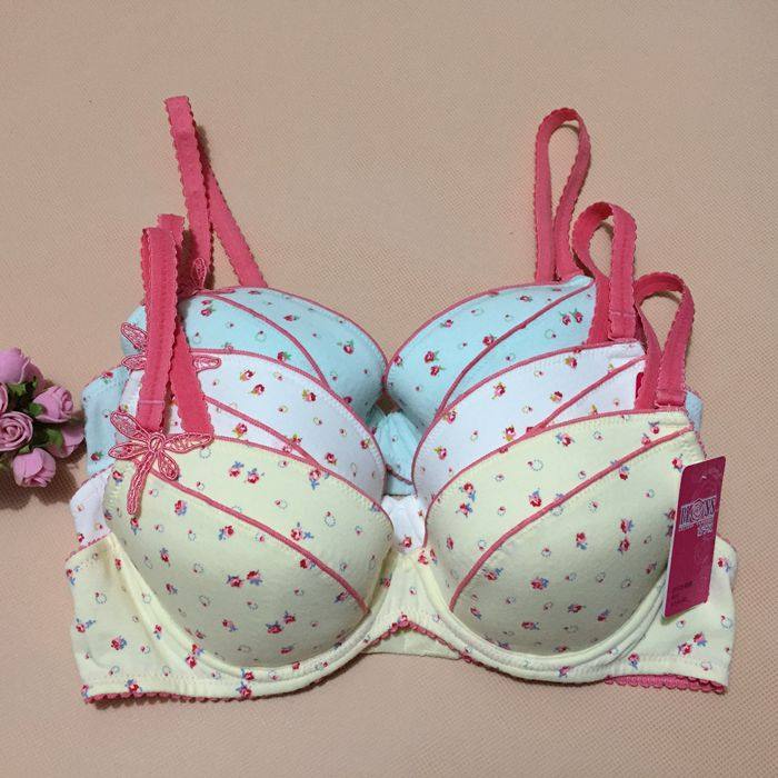 BLOSS/古今花3/4可插片拼棉杯小碎花款文胸0ES19