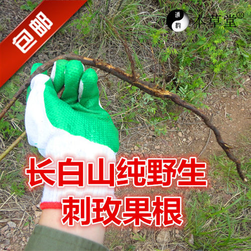 长白山纯野生刺玫果根野刺玫瑰根 野蔷薇根山刺玫根野玫瑰根500克 - 封面