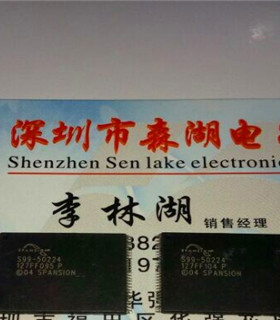 S99-50224 SPANSI  TSSOP-48原装正品系列供应