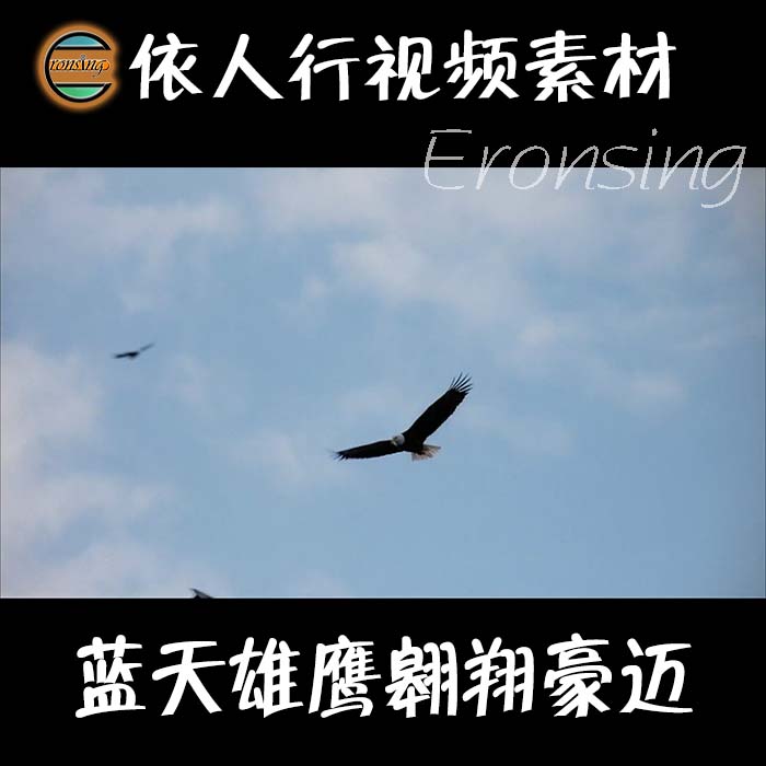 依人行LED素材大屏幕舞台视频背景素材 蓝天雄鹰翱翔豪迈飞翔