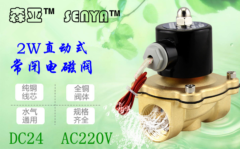 森亚 2W常闭电磁阀 纯铜水阀气阀开关24V 220V 2分3分4分1寸2寸