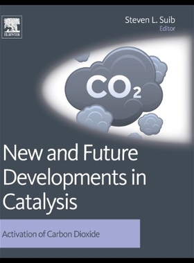 【预售】New and Future Developments in Catalysis: Activat