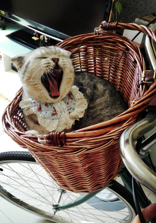 Panier pour vélo en vigne - Ref 2257569 Image 1