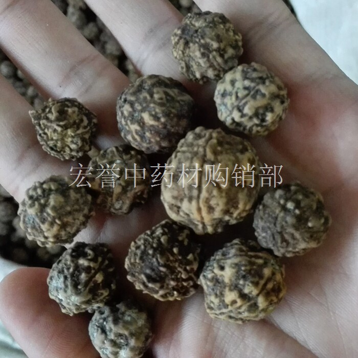 金刚菩提子 5瓣金刚原籽通货菩提