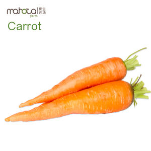 泰生农场有机胡萝卜500g mahota农产品蔬菜新鲜江浙沪皖同城配送