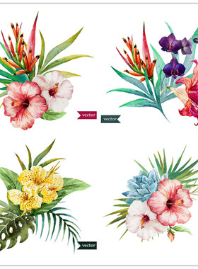 A1186矢量水彩画多图案热带兰花芭蕉百合龟背竹 AI设计素材