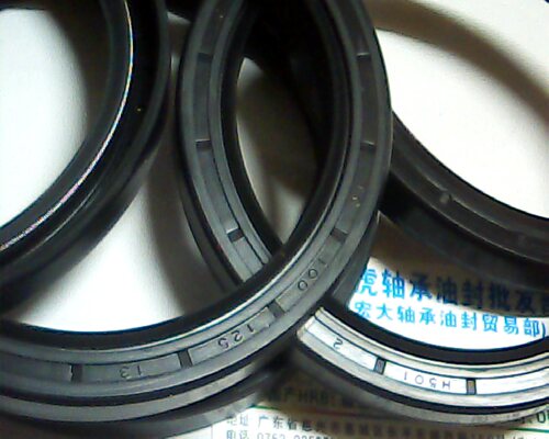 TC100*125*13H501TTO骨架油封