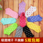 Chaussettes - collants simple - Ref 771219 Image 17