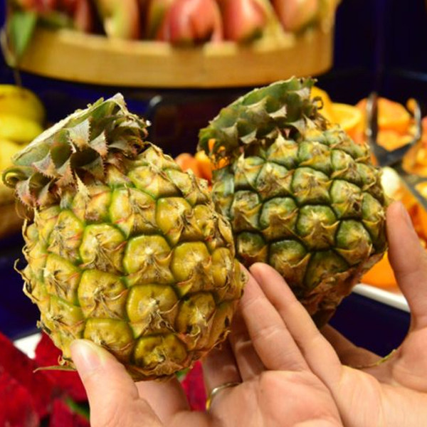 泰国进口 金约 新鲜迷你小菠萝 5斤（约4~5个）优惠券折后￥19.9包邮（￥29.9-10）