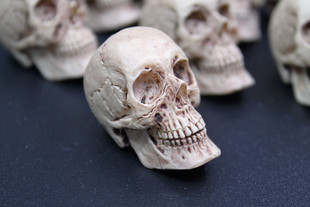 1:6 兵人 骷髅 头雕 人头骨 头骨 做旧 可作场景或吊坠 兵人配件