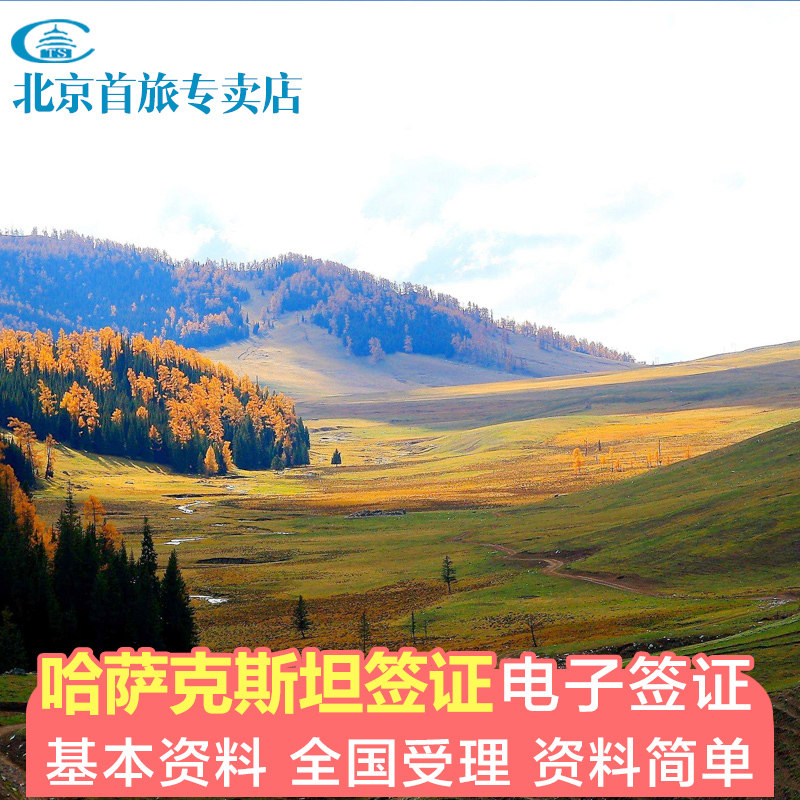 哈萨克斯坦旅游电子签证哈萨克斯坦商务签证