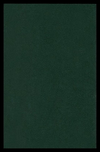 Jane Bronte Charlotte Eyre 预售