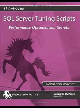 【预售】SQL Server Tuning Scripts: Performance Optimizati