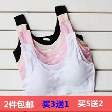 Coques pour soutien-gorge - Ref 816374 Image 8