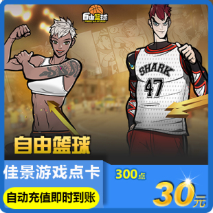 300点券 300点 自动充值 自由篮球30元 世纪天成