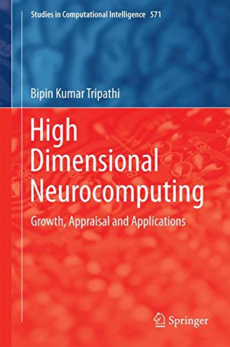 【预订】High Dimensional Neurocomputing