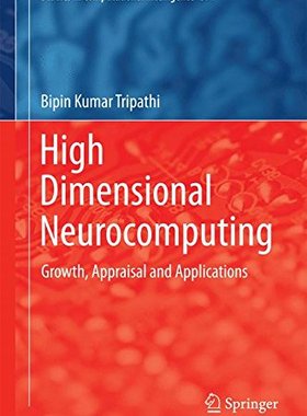 【预订】High Dimensional Neurocomputing