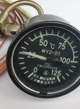 精品促销WYZ-01船用遥测温度计