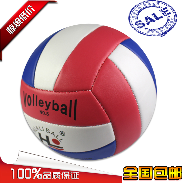 Ballon de volley - Ref 2010838 Image 1