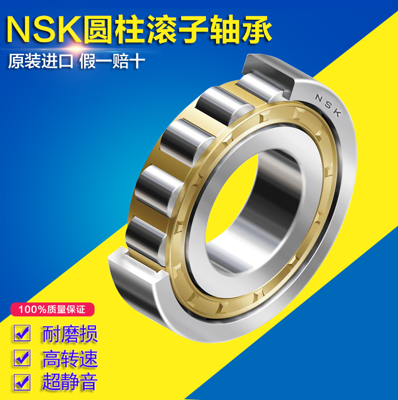 NSK圆柱滚子轴承NU207 NU208 NU209 NU210 NU211 ECP ECJ ECM /C3